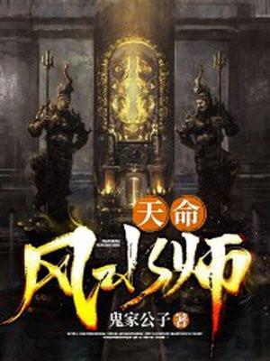 天命风水师全集免费播放