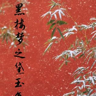 红楼黑黛玉
