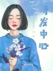 icrd上海集成电路研发中心