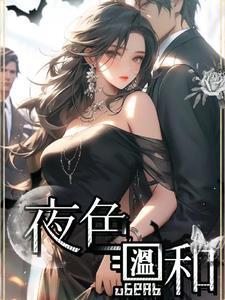夜色温柔的意思