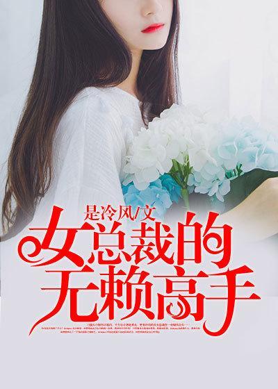 女神的无赖高手txt