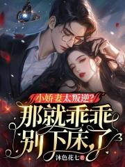 许晚溪封时邢全文免费阅读