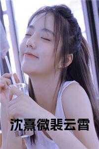 沈茴裴徊光免费阅读