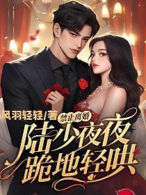 禁止离婚!陆少夜夜跪地轻哄完整版免费阅读完整版