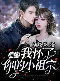 陆总我怀了你的小祖宗短剧全集