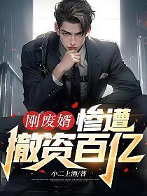 惨遭撤资百亿免费阅读宁北怎么不更新了