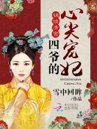 锦绣清宫四爷的心尖宠妃类别穿越作者 雪中回眸