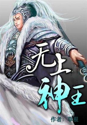 无上神王功法等级划分