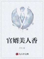 官婿美人香刘志中卢玉清笔趣阁