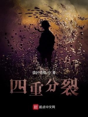 四重分裂百度百科