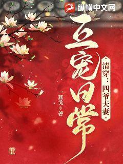 清穿 四爷