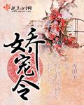 娇宠令上官慕容