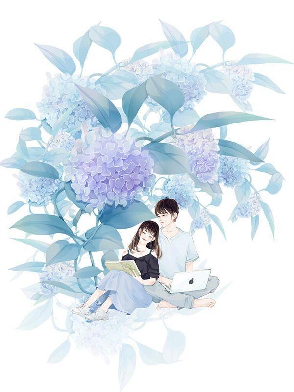 霸道前妻短剧免费观看大结局