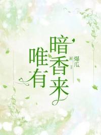 唯有暗香来电视剧剧情简介