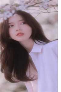 火影樱被绑是第几集