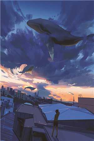 时光邮差破解版