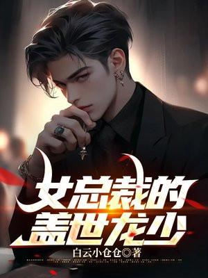 女总裁的上门龙婿