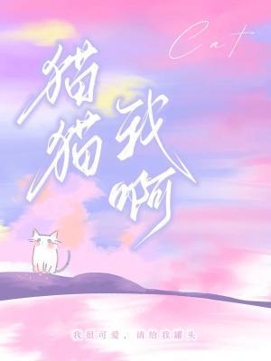 猫猫我啊by