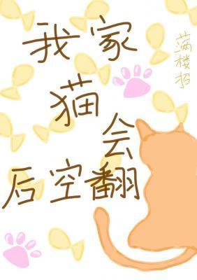 我家猫会后空翻番外