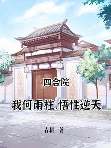 四合院何雨水的