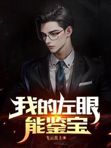 我的左眼能鉴宝张东叶柔飞云直上