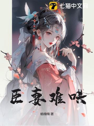 臣妻无防盗