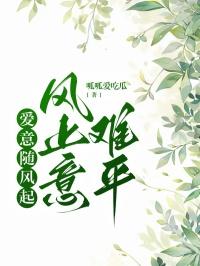 爱意随风起风止意难平什么歌曲