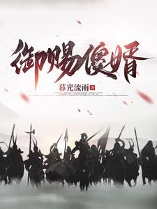 御赐傻婿燕南飞动画在线观看