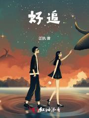 我家宿主不好追