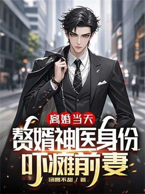 赘婿离婚免费阅读