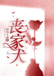 丧家犬废墟图书馆