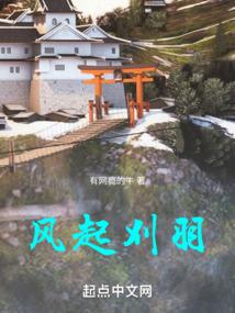 风起刈羽八零电子书