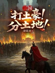 打土豪分田地谁写的