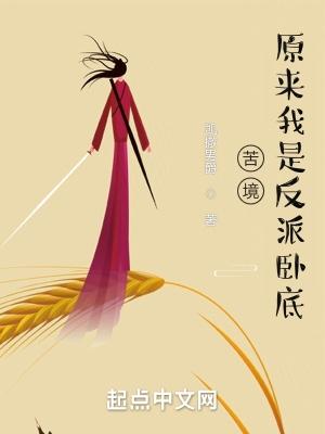 苦境原来我是反派卧底无天诗号