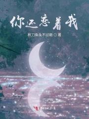 我还恋着你是什么歌