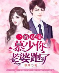 一胎双宝慕少你老婆跑了完整版