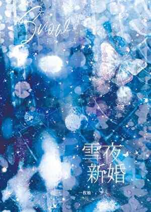雪夜新婚番外