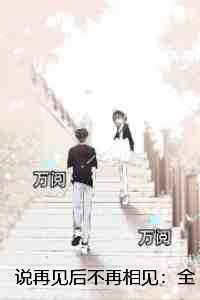 说再见后不再相见畅销书