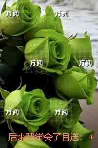 后来我终于学会了是什么歌