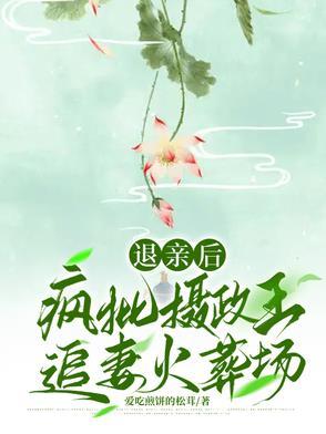我成了首辅