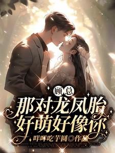 秦暖顾向席免费阅读