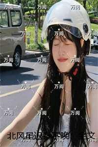 北风虽迟春不晚20章免费阅读